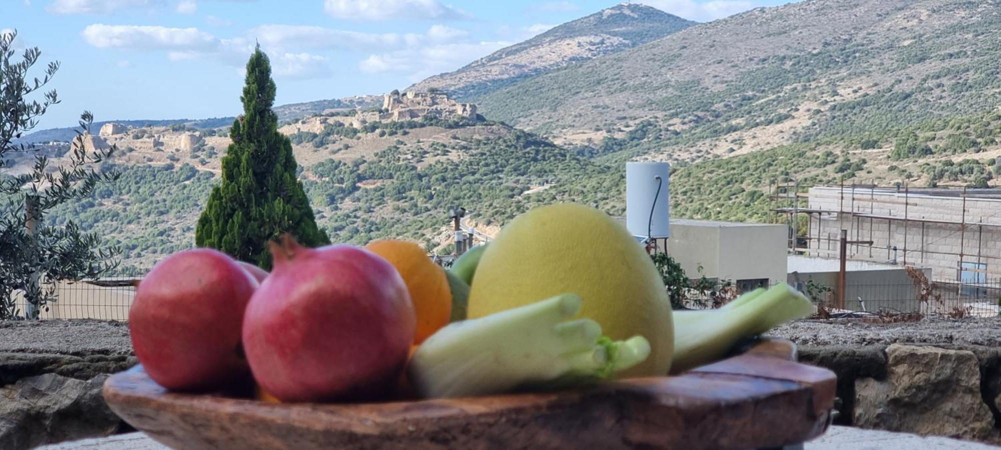 Sanabl Druze Hospitality Bed & Breakfast Ein Kinya Exterior photo